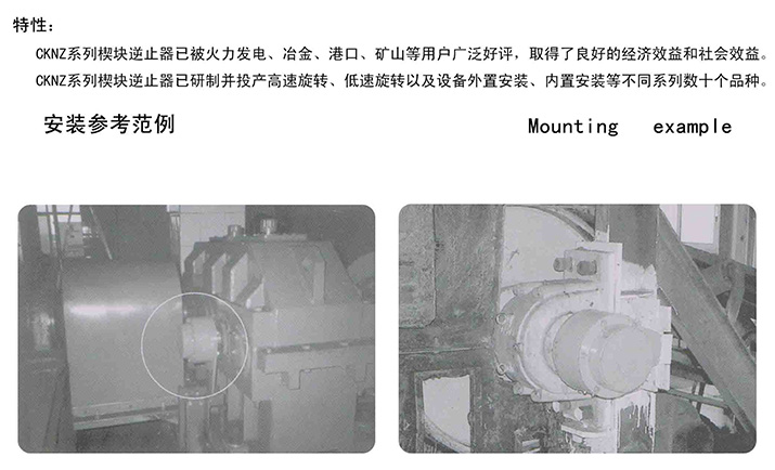 CKNZ-1逆止器特性